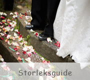 Storleksguide